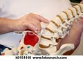 Chiropractic Works image 9