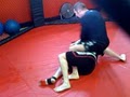 Chop Shop MMA image 4