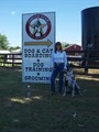Circle Star Pet Resort and Training image 2