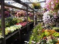 City Floral Greenhouse image 1