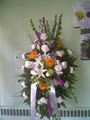 Color Dimensions Florist image 3