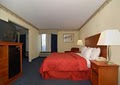 Comfort Inn Executive Park image 3