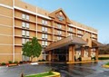 Comfort Inn Executive Park image 1