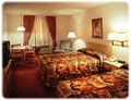 Comfort Inn & Suites Carbondale image 5