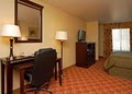 Comfort Inn & Suites image 4