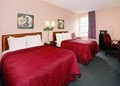 Comfort Inn Virginia Horse Center image 7