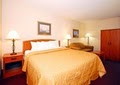 Comfort Inn image 2