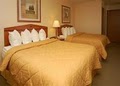 Comfort Inn image 4