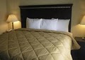 Comfort Inn image 7