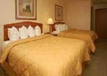 Comfort Inn image 8