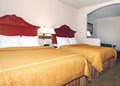 Comfort Suites image 2