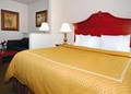 Comfort Suites image 4