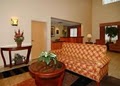 Comfort Suites image 9