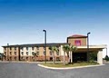 Comfort Suites image 10