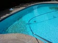 Complete POOL SERVICE image 6