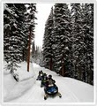 Copper Mountain Snowmobile Tours and Rentals logo