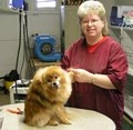 Country Critters Dog Grooming image 1