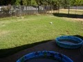 Creekside Pet Resort image 3
