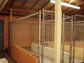 Creekside Pet Resort image 7