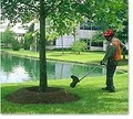 Cutting Edge Tree Trimming Service image 4