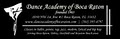 Dance Academy of Boca Raton logo