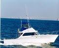 Annapolis Fishing  Charters logo