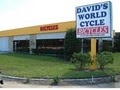 David's World Cycle image 9