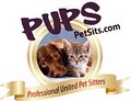 Debra Davis Pet Care image 3