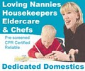 Dedicated Domestics Nannies image 9