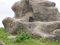 Detroit Zoological Society image 10