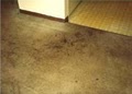 Divine Floor Cleaning image 1