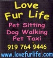 Dog Walking with Love Fur Life image 2