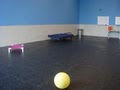 Dogtopia - Dog Daycare image 8