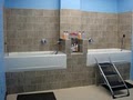 Dogtopia - Dog Daycare image 9