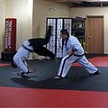 Draco Academy of Martial Arts image 4