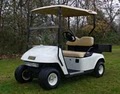 Eastern Golf Carts image 2
