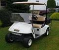 Eastern Golf Carts image 3