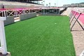 EasyTurf Synthetic Grass image 4