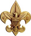 Effingham Boy Scout Troop 3 logo