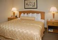 Embassy Suites Atlanta - Alpharetta image 6