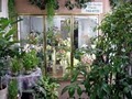 English Garden Florist image 2