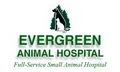 Evergreen Animal Hospital image 8