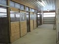 Everview Farm Horse Boarding and Training image 2