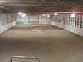 Everview Farm Horse Boarding and Training image 4