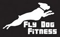 Fly Dog Fitness Boot Camps and Personal Training image 1