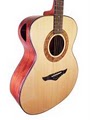 Fox Hollow Guitars image 1