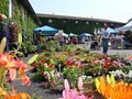 Frankenmuth Farmers Market image 1
