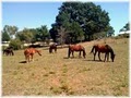 French Lake Stables Barn image 1