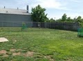 Fulton Avenue Pet Resort image 3