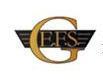 GEFS Insurance & Investments logo